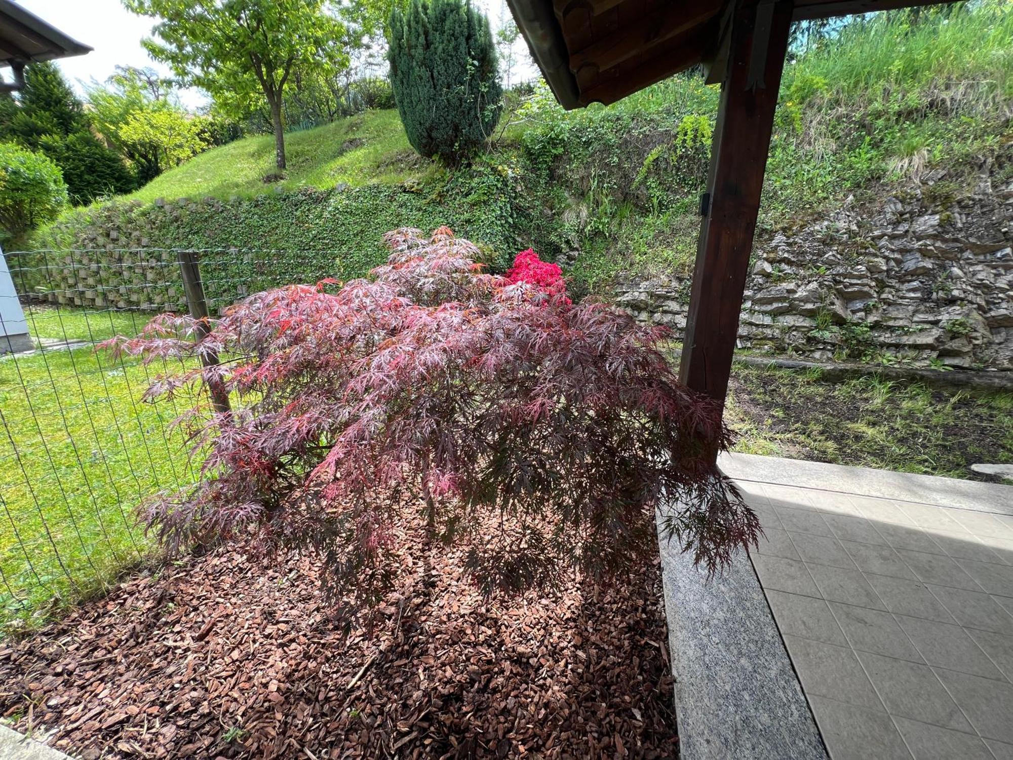 L'Acero Rosso - Giardino Privato E Box Auto Villa Menaggio Exterior foto